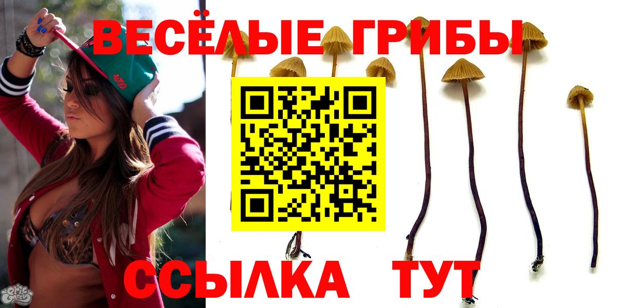 Сарапул  Псилоцибиновые грибы прущие грибы  Галлюциногенные грибы MAGIC MUSHROOMS  Вход с VPN 